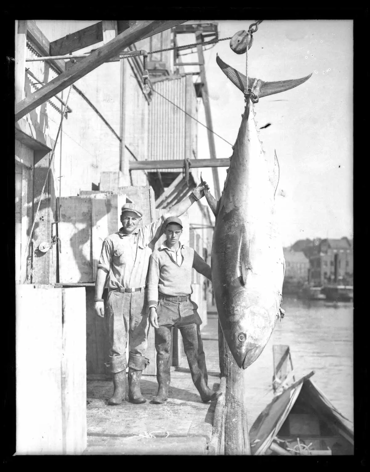 Mainers with a bluefin, circa 1935, from a Portland Press Herald glass negative.