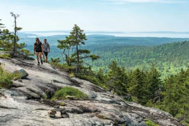 Razorback Trail, on Mansell Mountain