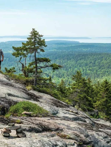 Razorback Trail, on Mansell Mountain