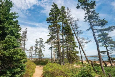Wonderland Trail, one of Acadia National Park's Best Shoreline Trails