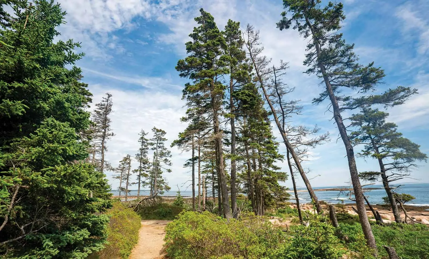 Wonderland Trail, one of Acadia National Park's Best Shoreline Trails