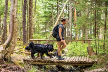 5 Family-Friendly Hiking Trails in Acadia National Park