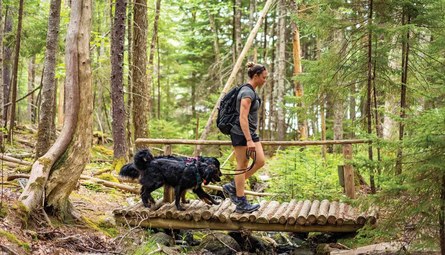 5 Family-Friendly Hiking Trails in Acadia National Park