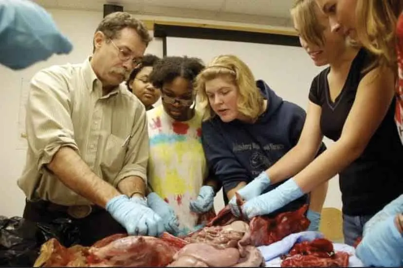 Unity students dissect animal to learn about anatomy