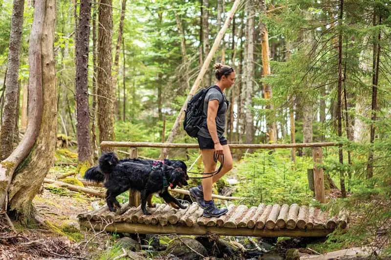 The 30 Best Trails in Acadia National Park