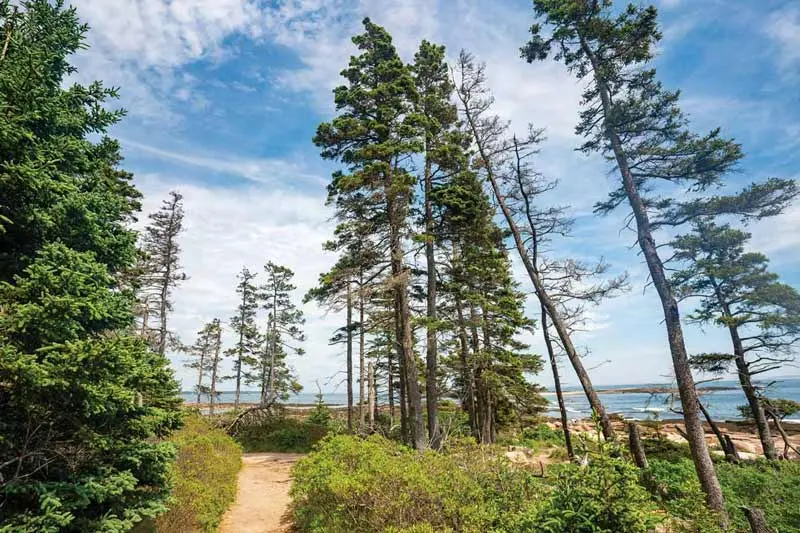 The 30 Best Trails in Acadia National Park