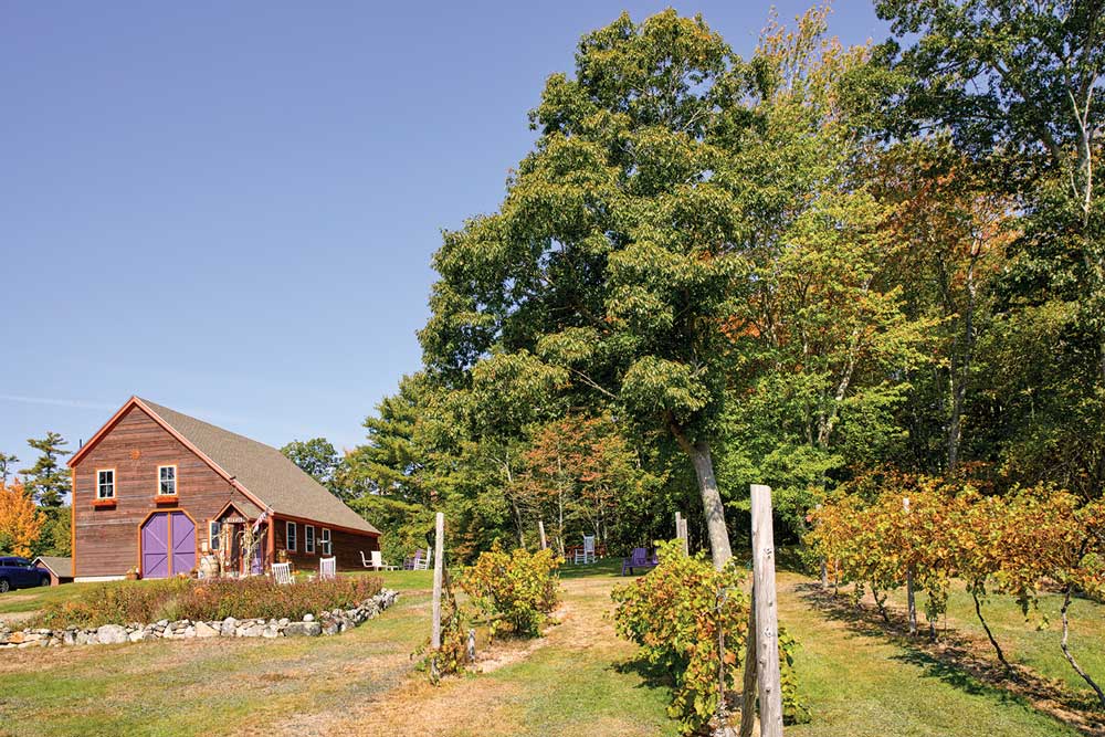 fruits of the field at Catherine Hill Winery.