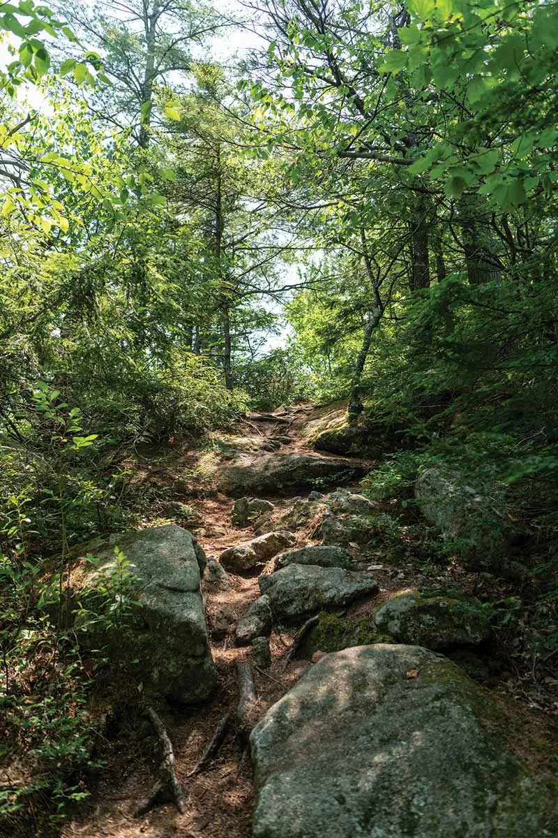 Though none too long or challenging, the trail system on Bauneg Beg Mountain has a rugged feel.