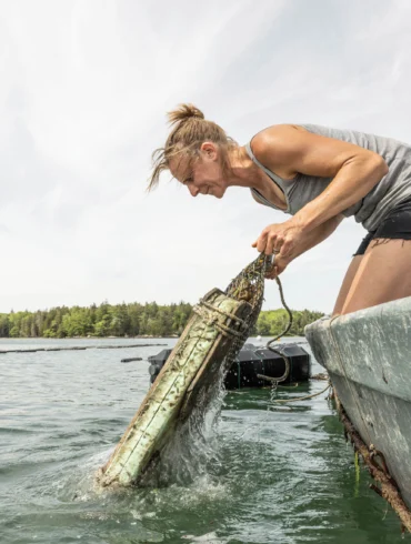 Abby Barrows, the Maine microplastics researcher reenvisioning aquaculture