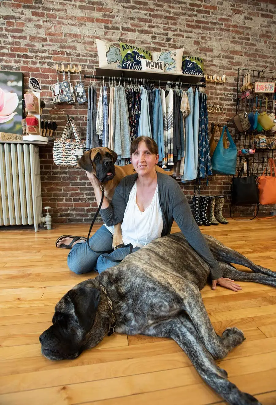 Linda Van Der Does, with mastiffs Rhowyn and Holly, at Toko, 95 Main St., Ellsworth