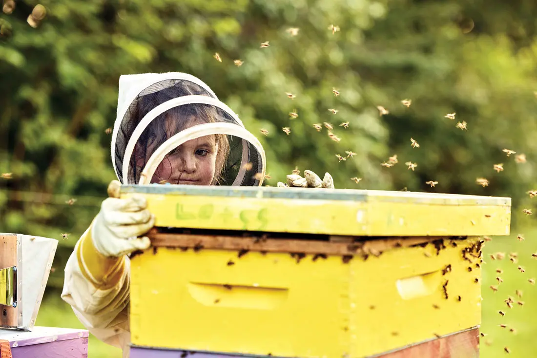 fourth-grader Elizabeth Downs tending to some 180,000 resident bees in her backyard