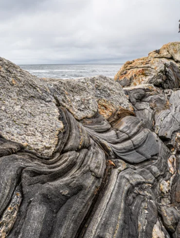 Where in Maine, November 2021