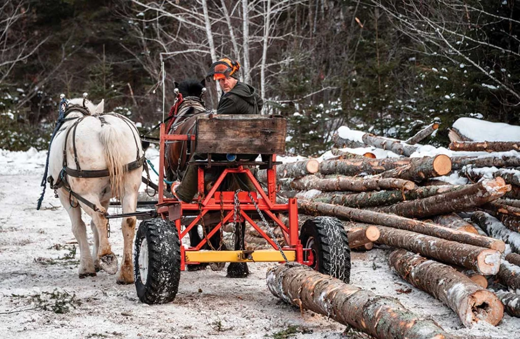 When he isn’t living Maine forestry history, Scott Stevens helps preserve it as a board member for the Maine Forestry Museum, in Rangeley.