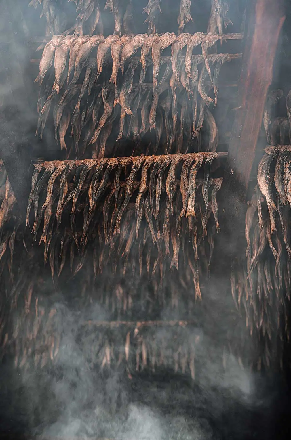 herring smoking inside South Bristol’s 85-year-old smokehouse