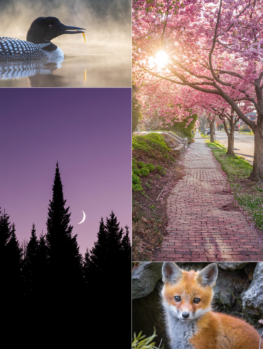 Ben’s Picks: 17 of the Best Maine Photos of 2021