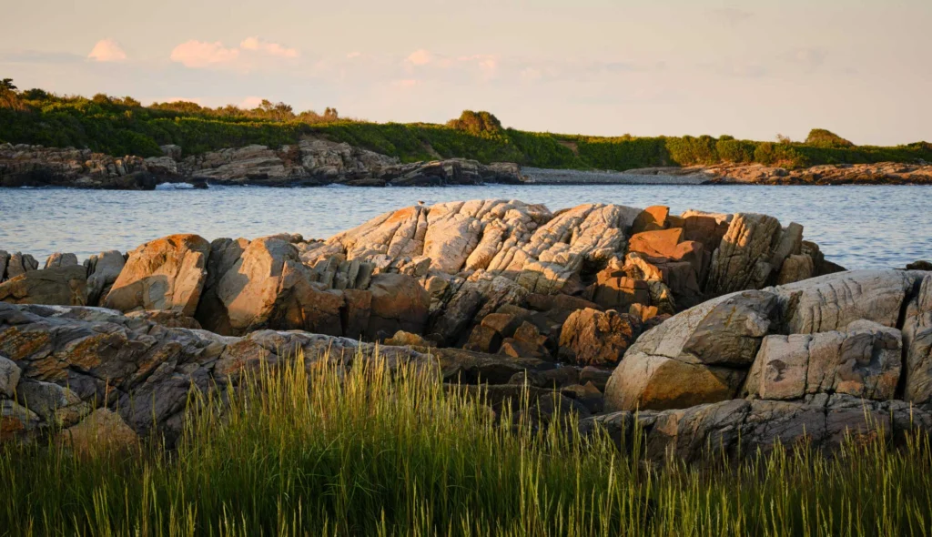 Rocks and Reeds, by Stanley John