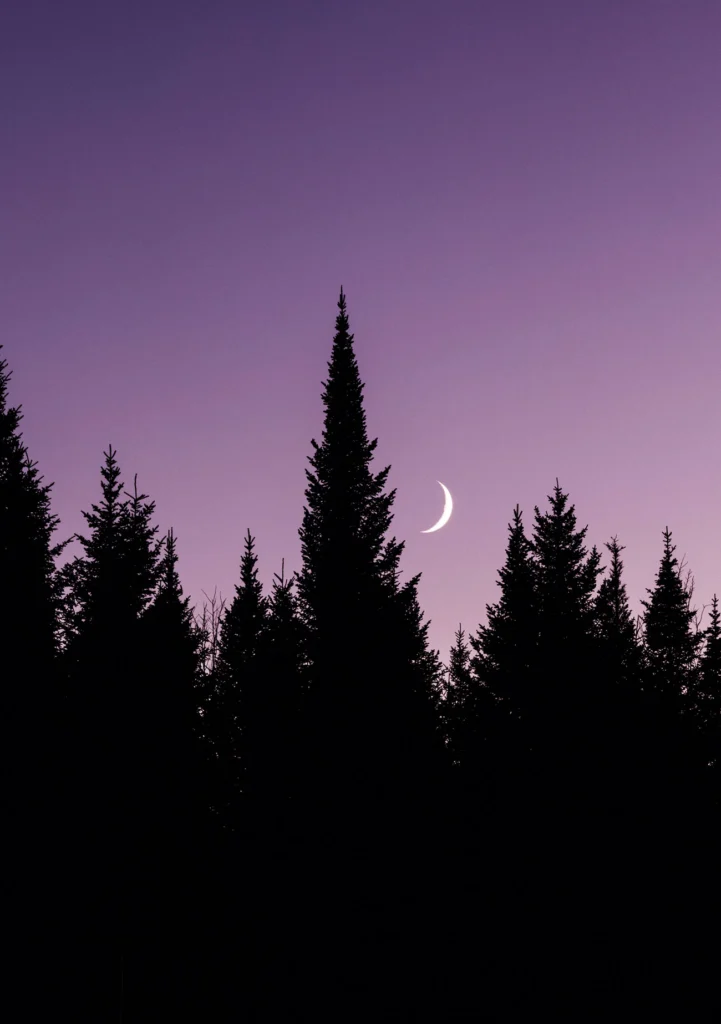 Deep Woods Moon, by Chris Bennett