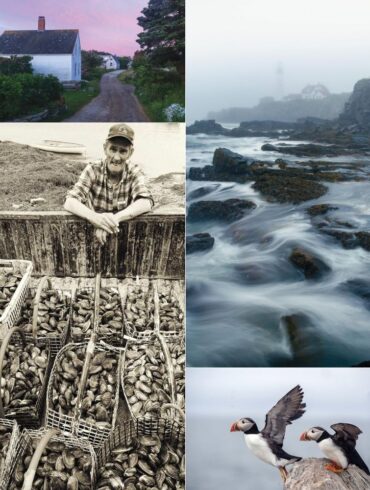 Selection of Down East Reader Photo Contest winners