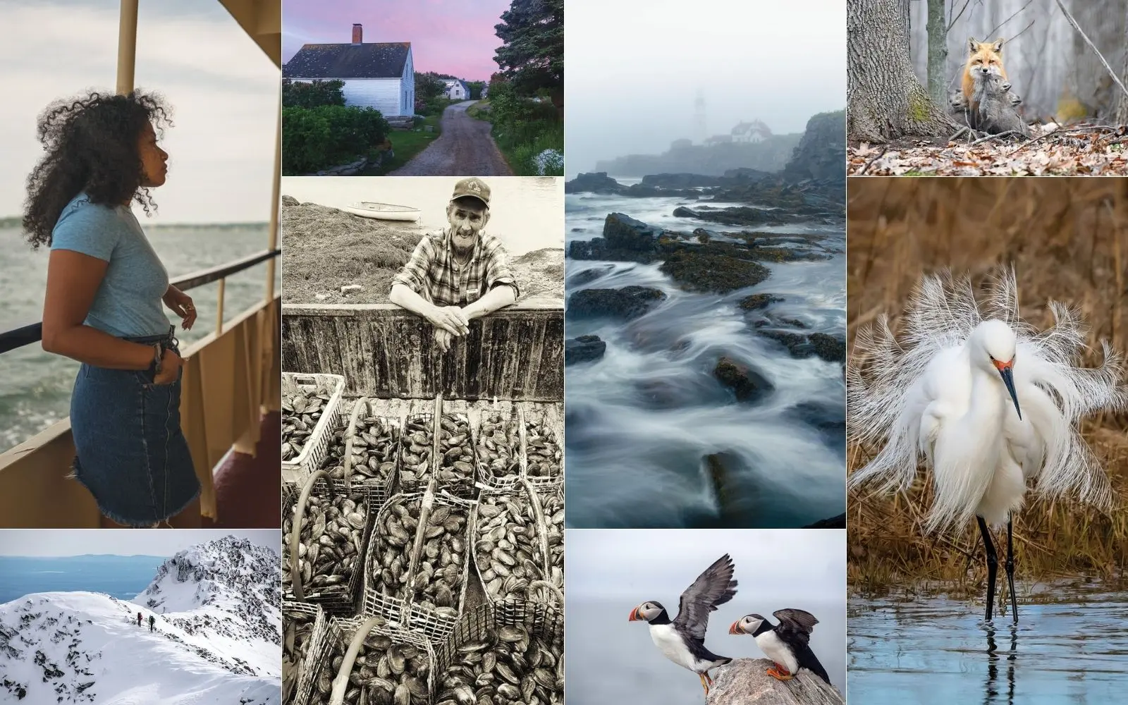 Selection of Down East Reader Photo Contest winners