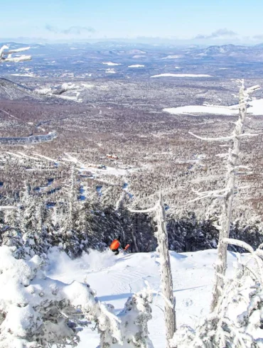 Muleskinner, Saddleback Mountain, Rangeley