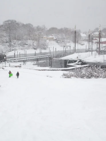 children sledding at Camden’s Harbor Park