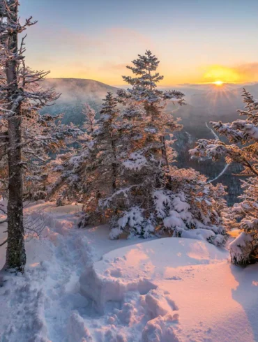 Where in Maine, February 2022