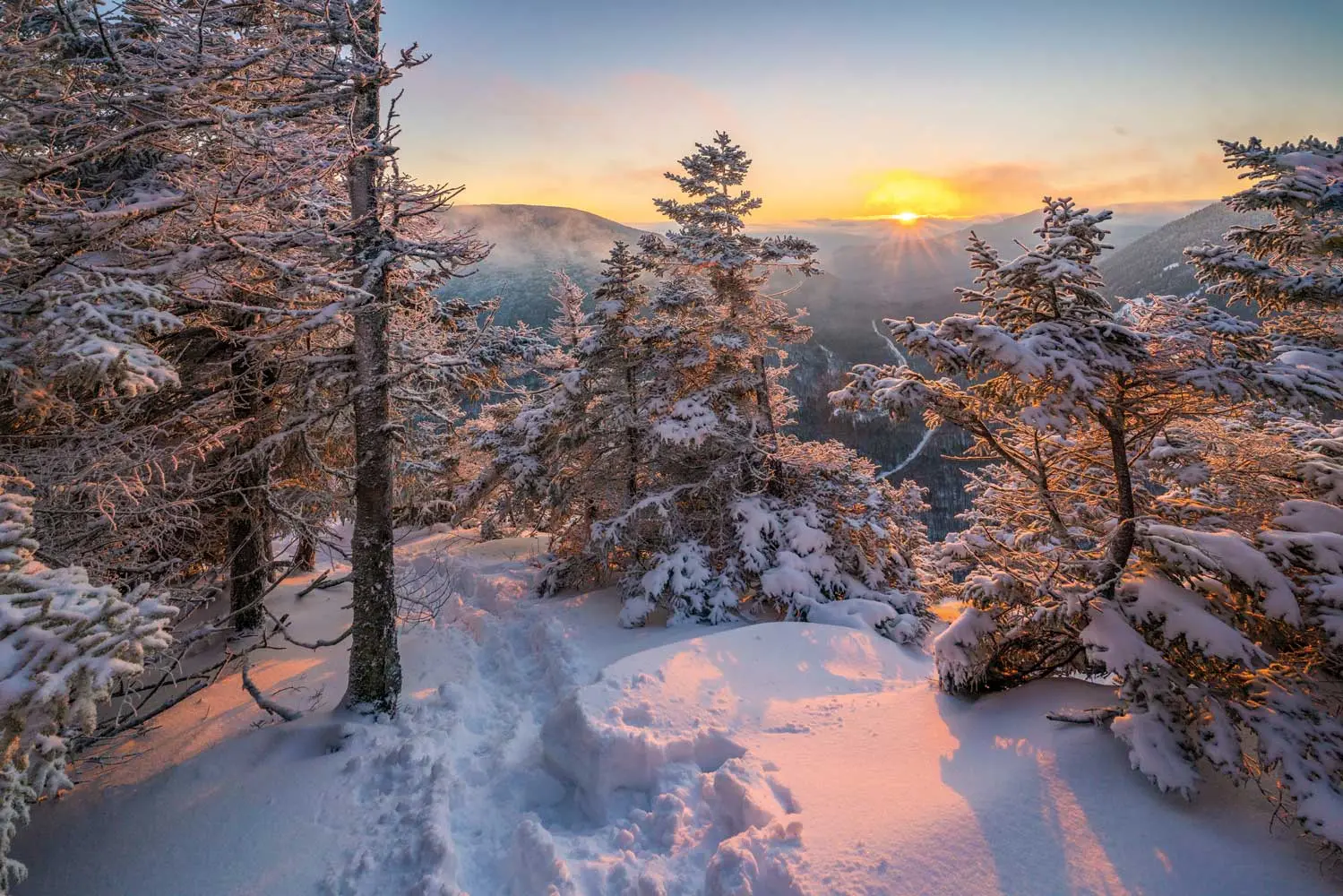 Where in Maine, February 2022
