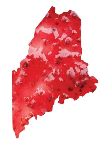 Maine News You May Have Missed, March 2022