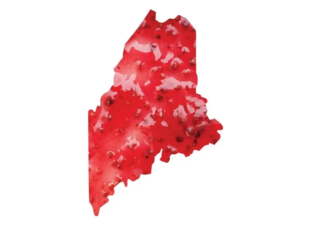 Maine News You May Have Missed, March 2022