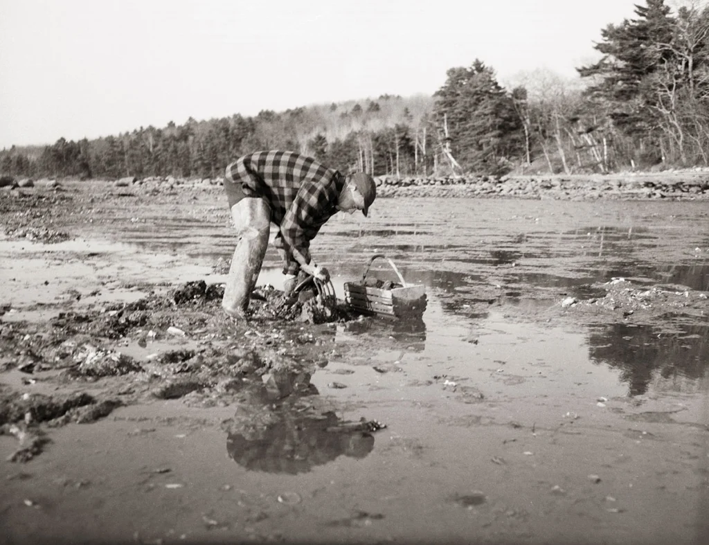 A clammer on the Medomak River in the ’60s or ’70s.