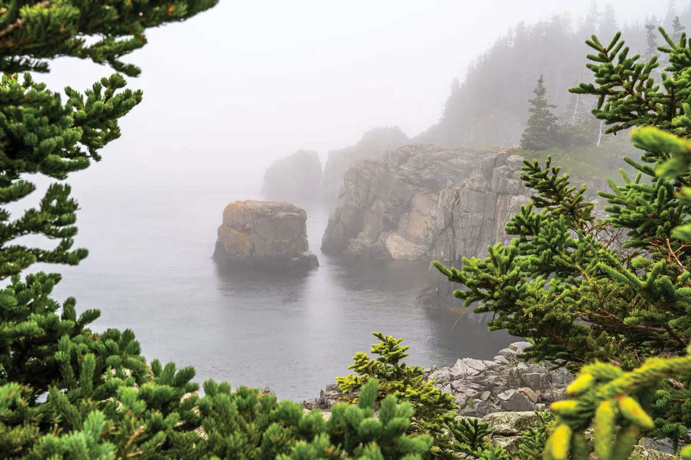 Where in Maine, April 2022
