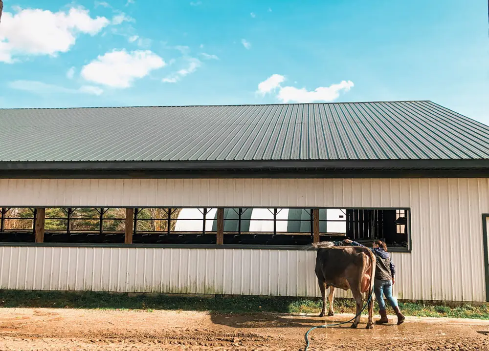 Scenes from Faithful Venture Farm, in Searsmont.