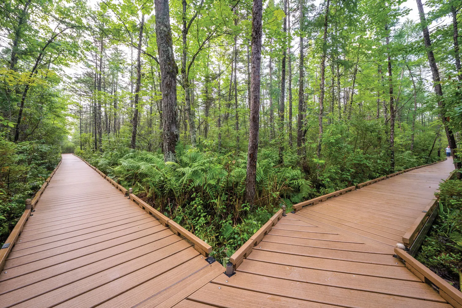 Where in Maine, May 2022