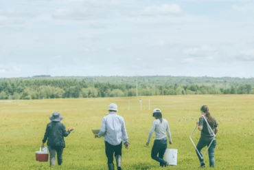 University of Pittsburgh graduate student Mason Unger and a team of research assistants on their way to identify and count bees pollinating wild blueberry flowers at Wyman’s.