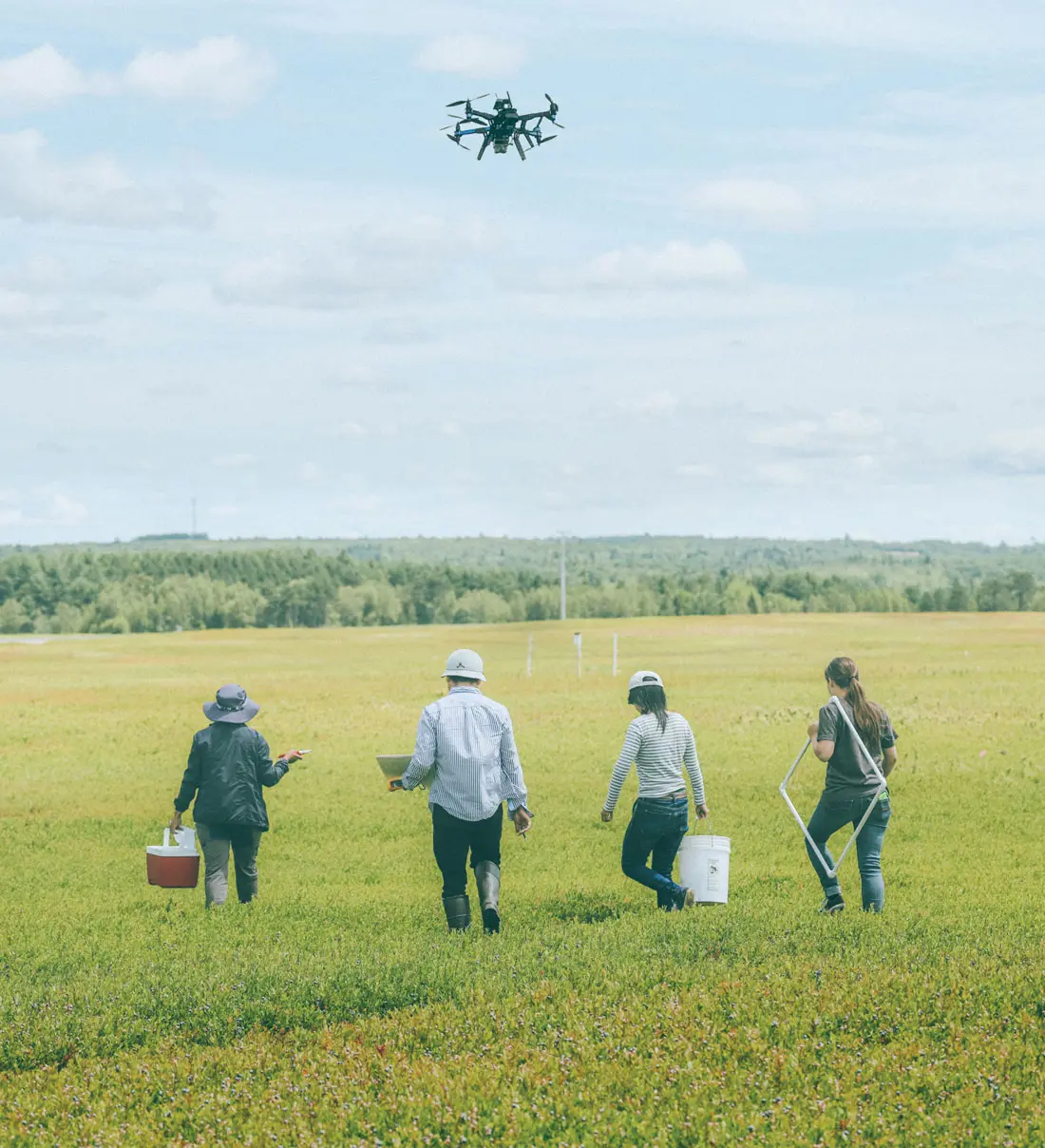University of Pittsburgh graduate student Mason Unger and a team of research assistants on their way to identify and count bees pollinating wild blueberry flowers at Wyman’s.