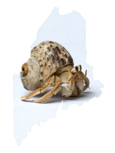 Maine News You May Have Missed, June 2022