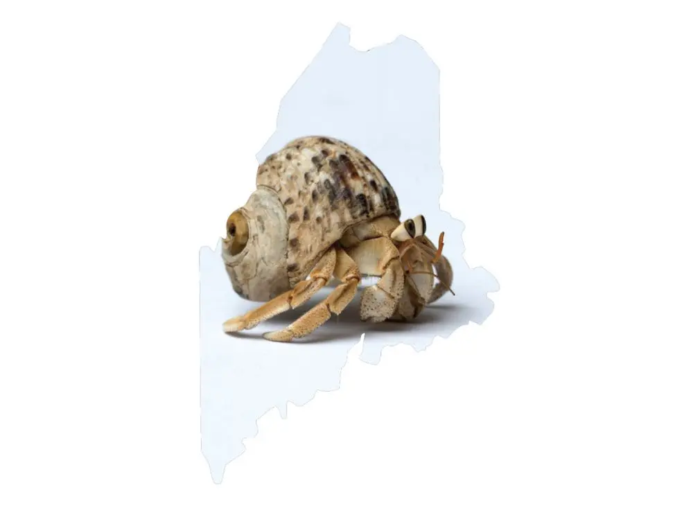 Maine News You May Have Missed, June 2022