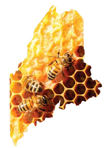 Maine News You May Have Missed, August 2022