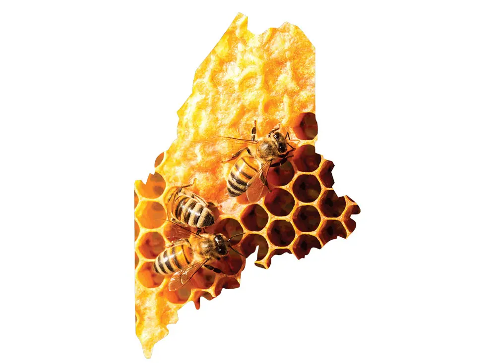Maine News You May Have Missed, August 2022