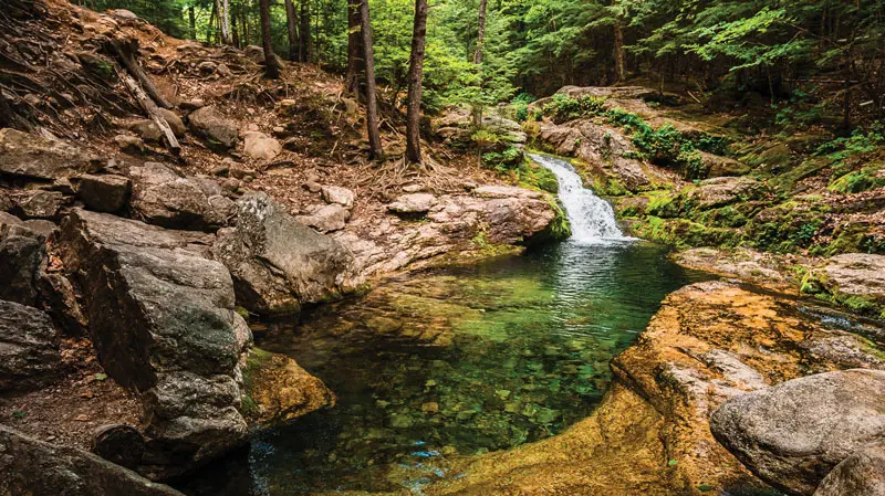 Rattlesnake Pool