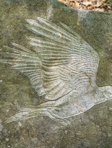 A bird stone carving by Kevin Sudeith