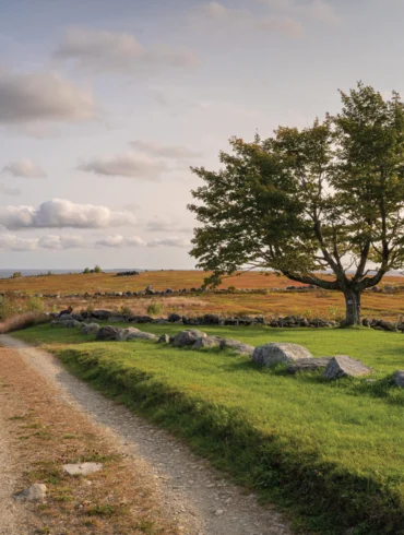 Clarry Hill, Where in Maine, September 2022