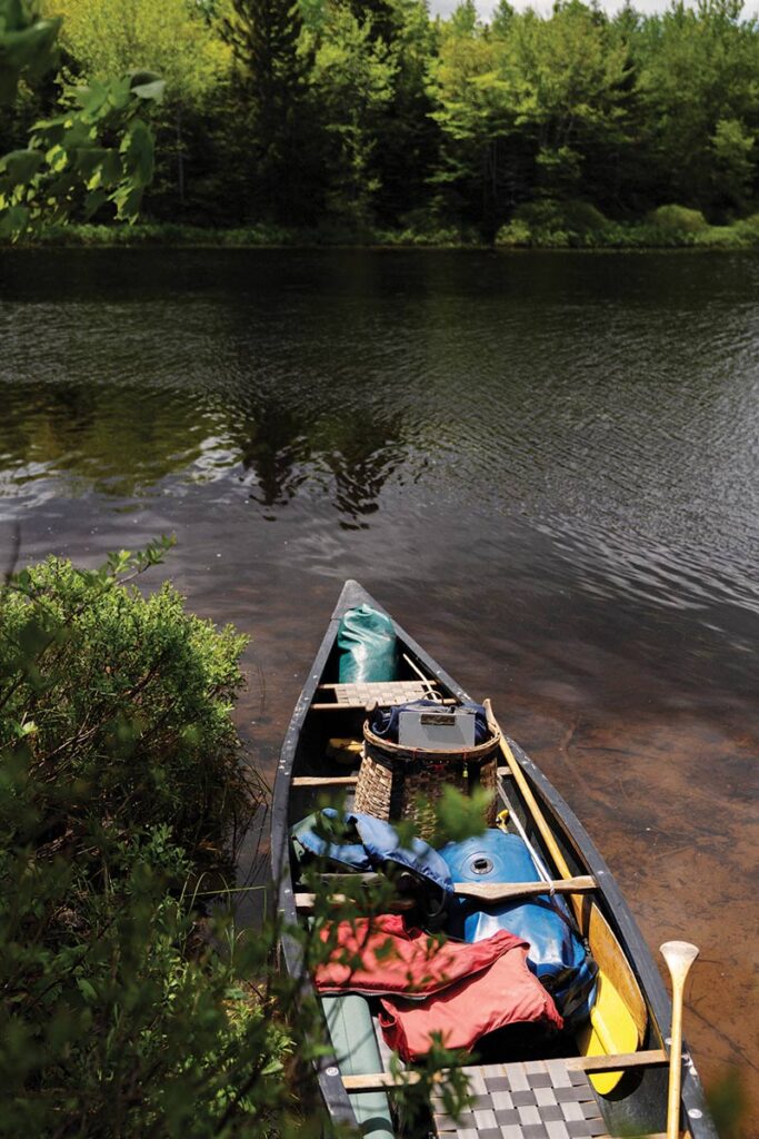 The Beaver's Keystone Activities – Mousam Way Land Trust