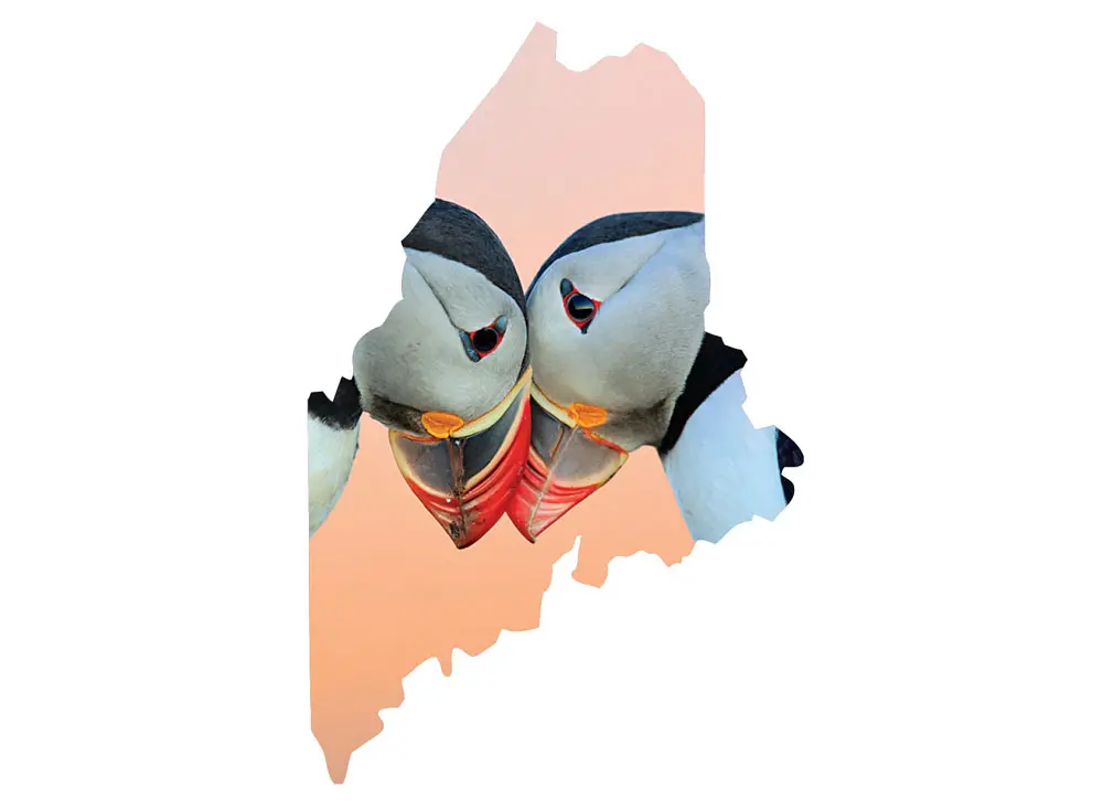 Maine News You May Have Missed, November 2022