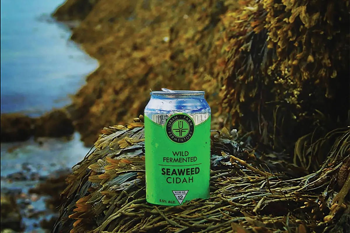 Urban Farm Fermentory’s seaweed cider was a trailblazing macroalgal beverage, predating the inaugural Seaweed Week