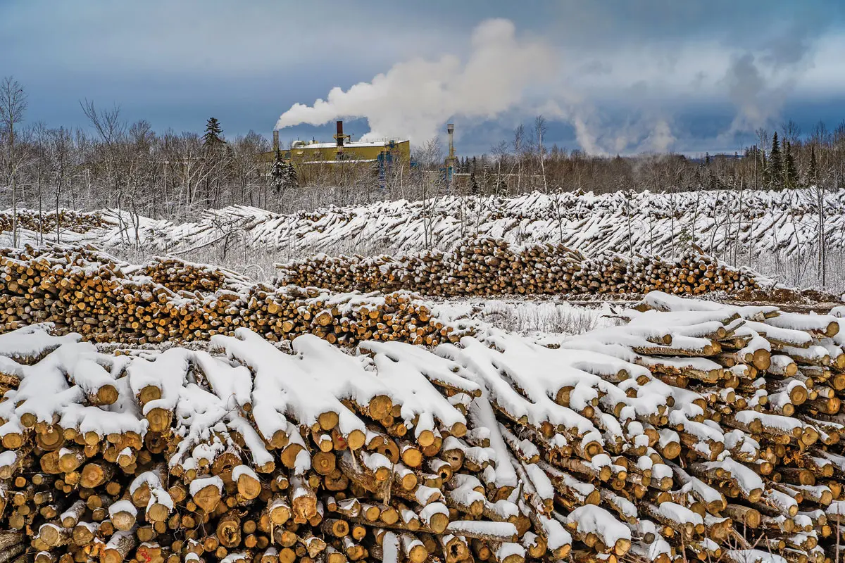 Where in Maine, January 2023
