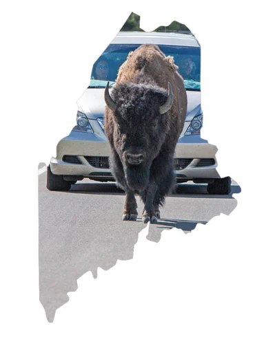 Maine News You May Have Missed