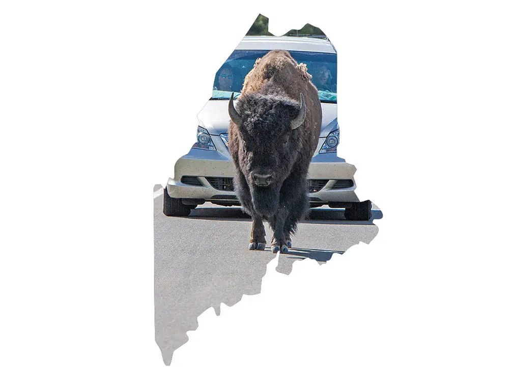 Maine News You May Have Missed