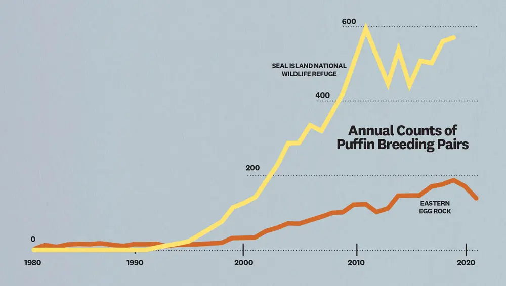 annual counts of puffin breeding pairs illustrated in a chart