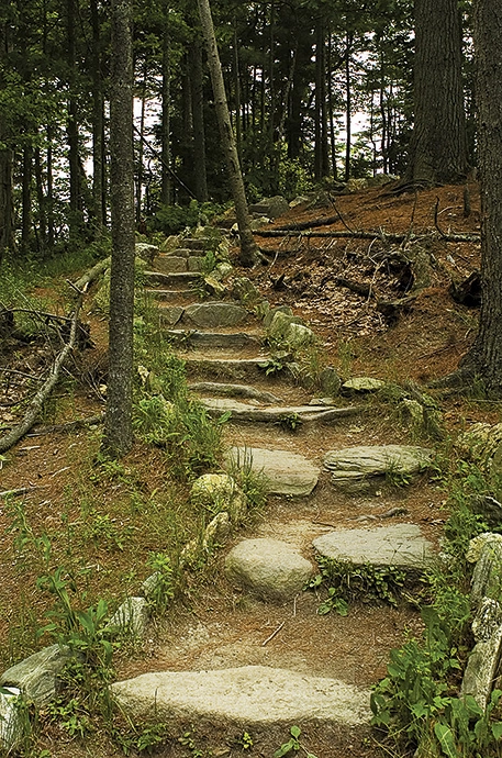 a trail at Wolfe’s Neck Woods State Park